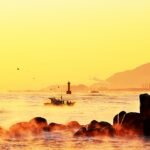 morning, sunrise, landscape, nature, sunshine, water, ocean, travel, silhouette, seagull, fishing fleet, fishing boat, korea, this type, sunrise, landscape, sunshine, sunshine, travel, travel, travel, fishing boat, korea, korea, korea, korea, korea